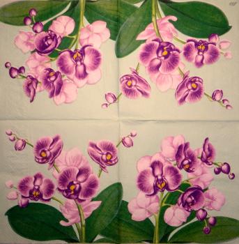 073 Orchideen - 3-lagig (schwarz) - Ihr